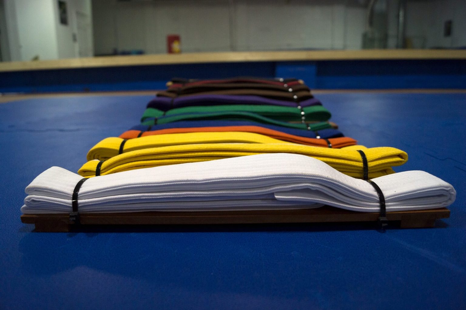 Karate Belt Grading 1 1536x1020 